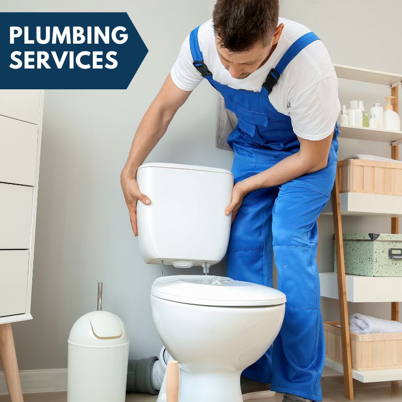 Plumbing Company in Wilson, MI